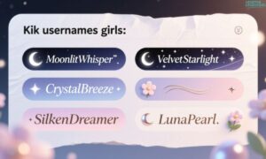 400+ Best Kik Usernames for Girls, Boys, Teens & More 2025